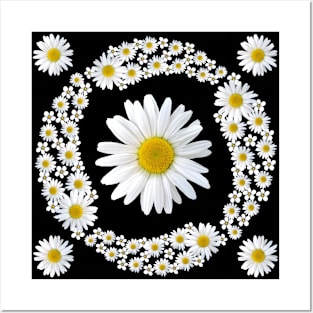 white daisies flower floral pattern blooming daisy blossoms Posters and Art